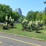 公寓 卓娅公寓 布尔加斯