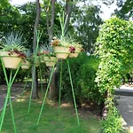 Apartmán Zoya Burgas City