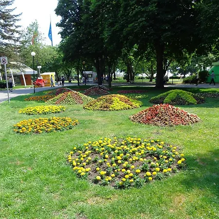Zoya * Burgas City