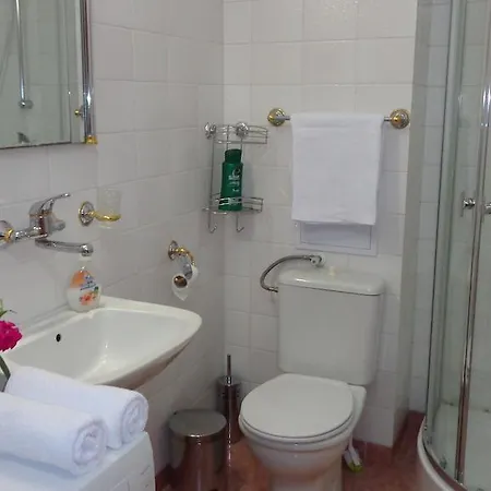 Apartment Zoya *