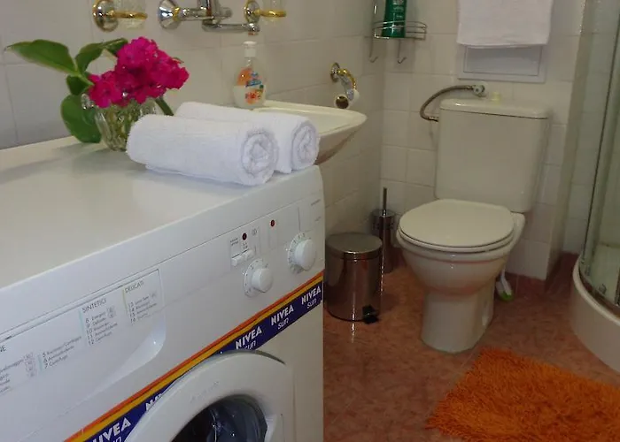 Zoya Μπουργκάς